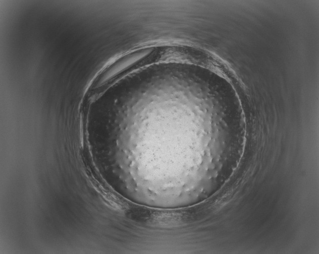 X0000084001171200702232130