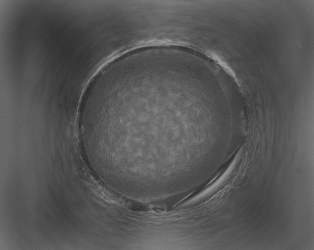 X0000084001173200702232130