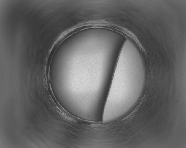 X0000084001176200702232130