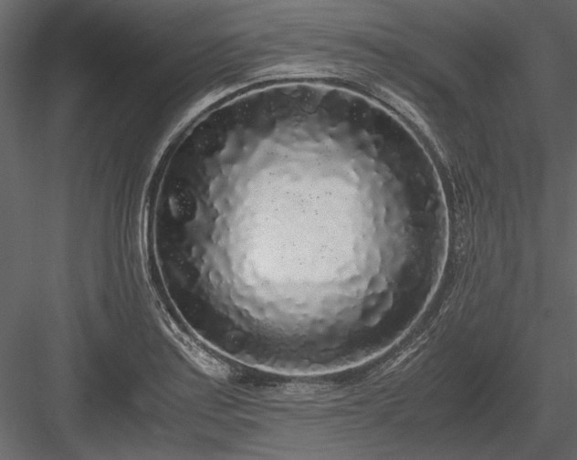 X0000084001179200702232130