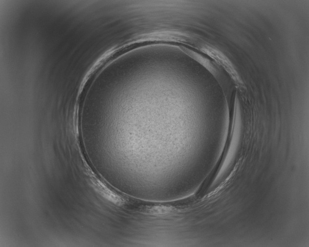 X0000084001180200702232130