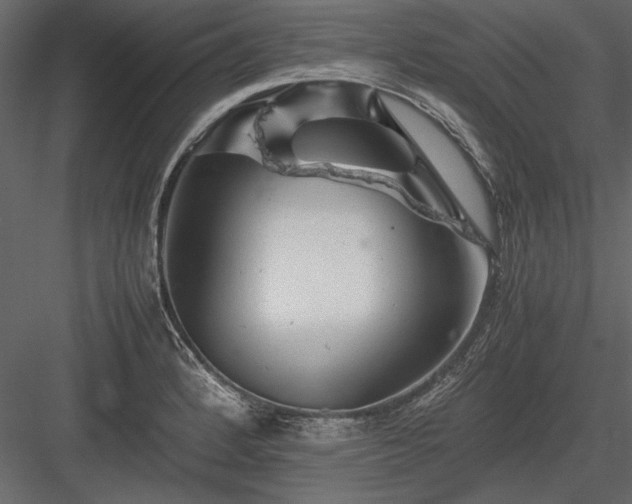X0000084001184200702232129