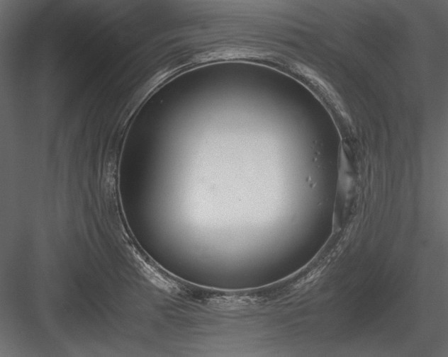X0000084001185200702232129