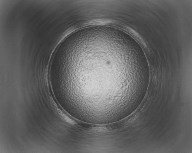 X0000084001186200702232129