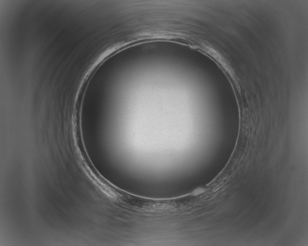 X0000084001187200702232129