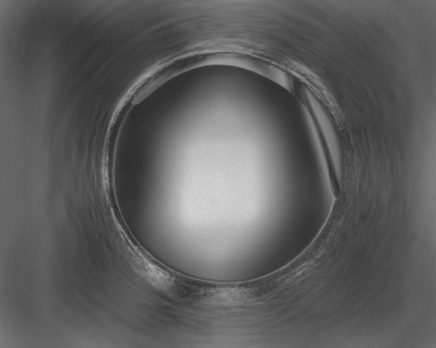 X0000084001188200702232129