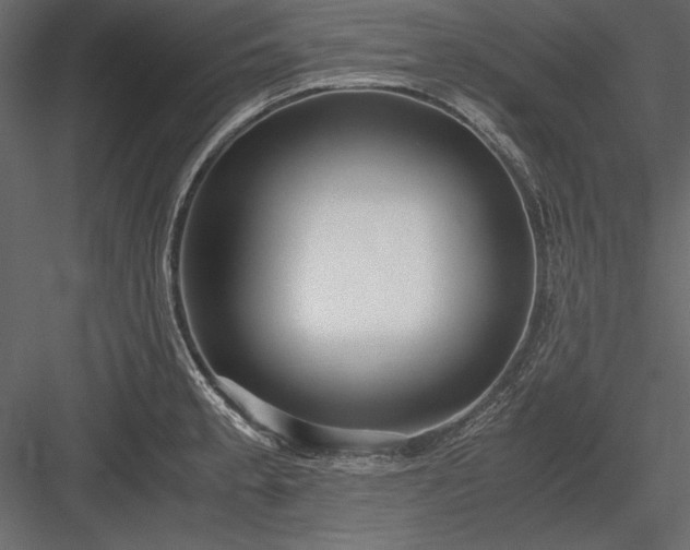 X0000084001189200702232129