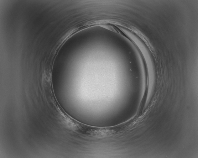 X0000084001193200702232129