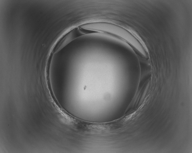 X0000084001197200702232129