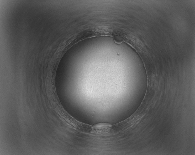 X0000084001201200702232128