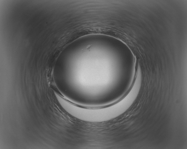 X0000084001202200702232128