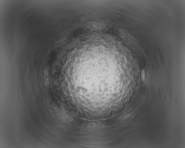 X0000084001203200702232128