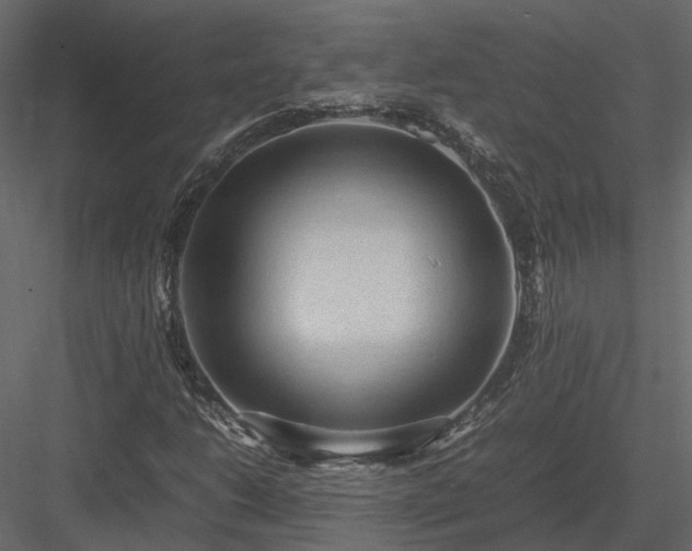 X0000084001206200702232128