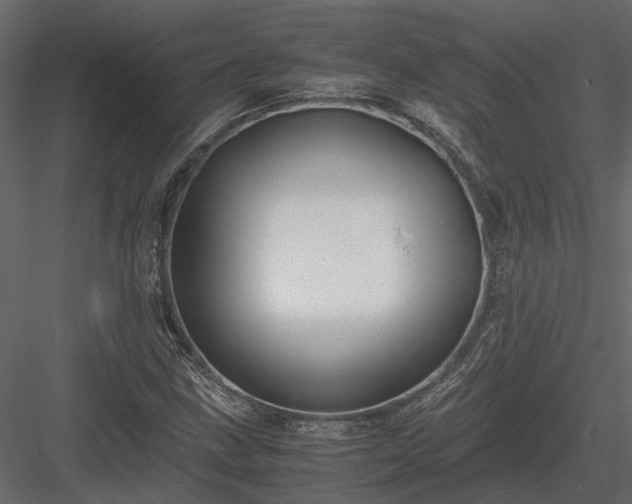 X0000084001211200702232129