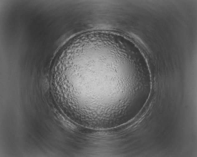 X0000084001212200702232129