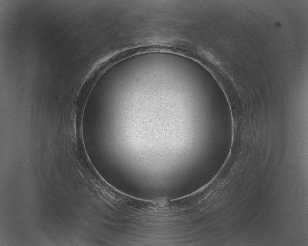 X0000084001214200702232129