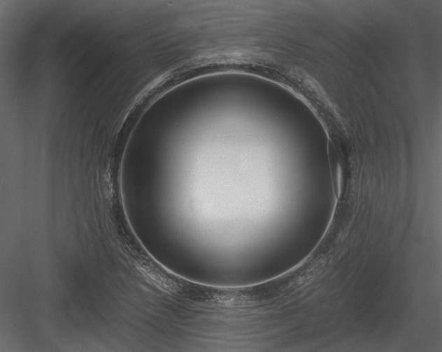 X0000084001218200702232129