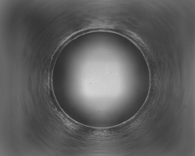 X0000084001220200702232129