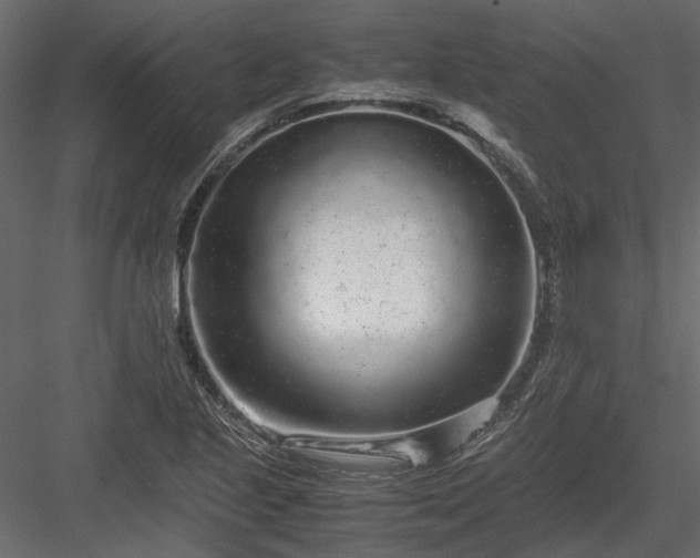 X0000084001221200702232129