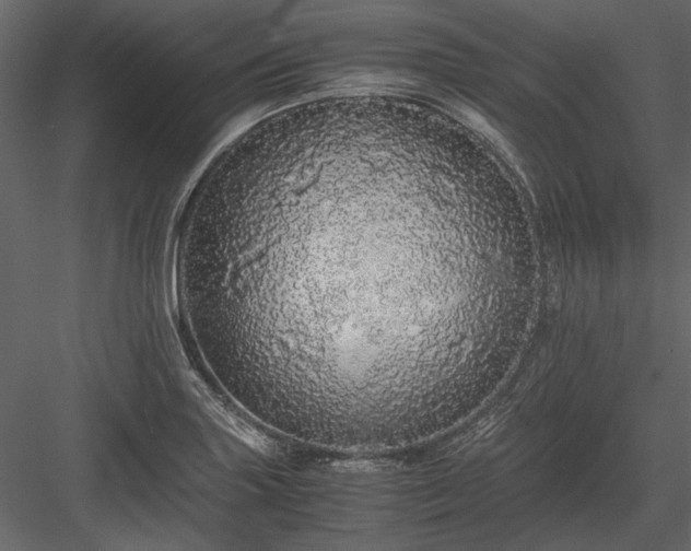 X0000084001227200702232129