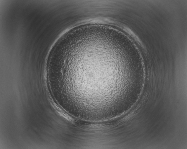 X0000084001232200702232129