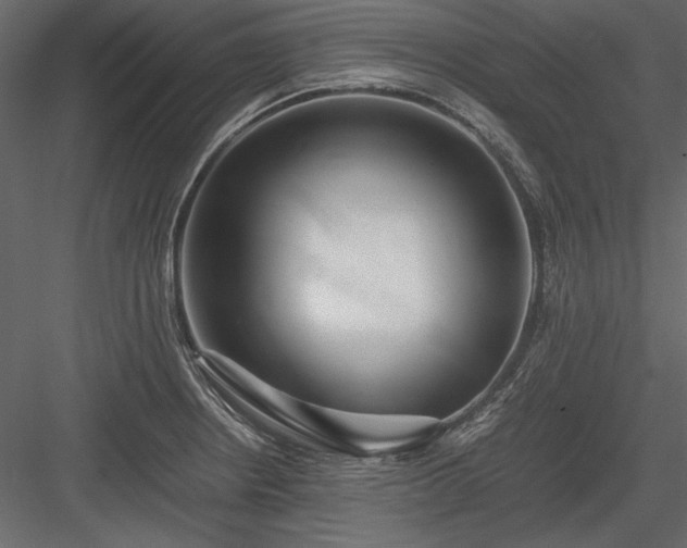 X0000084001234200702232129