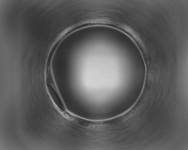 X0000084001237200702232129