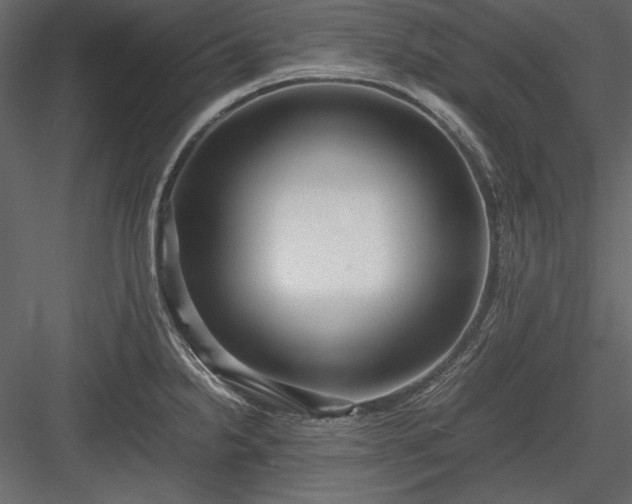 X0000084001238200702232129