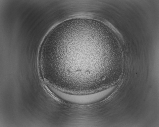 X0000084001240200702232129