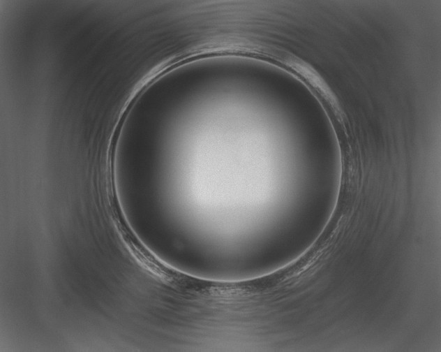 X0000084001242200702232129