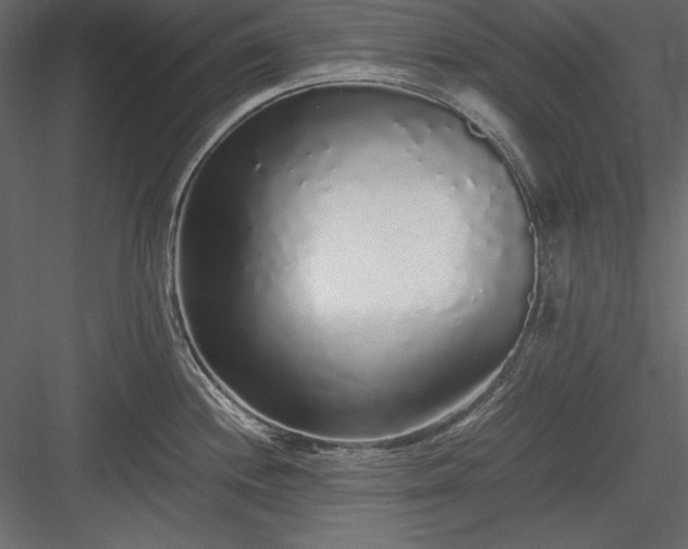 X0000084001244200702232129