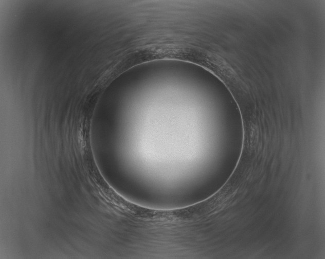 X0000084001250200702232128