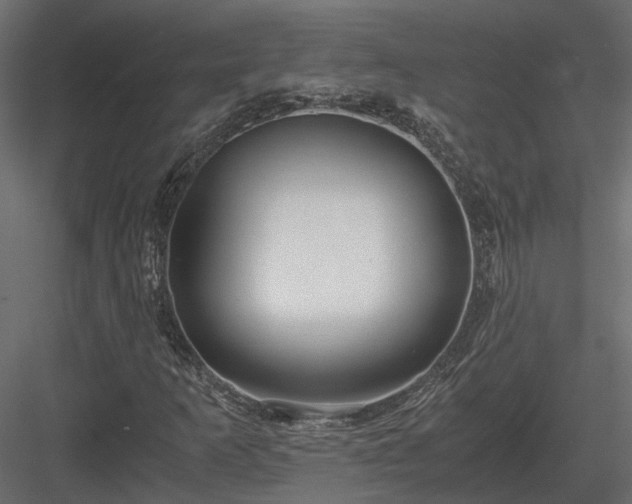 X0000084001253200702232128