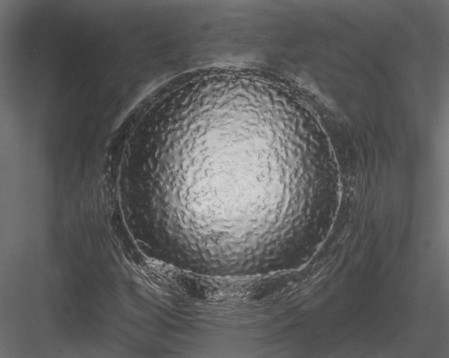 X0000084001256200702232128