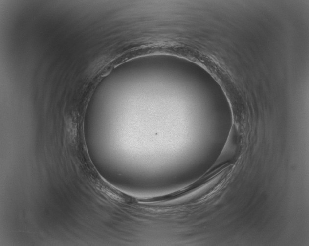 X0000084001257200702232128