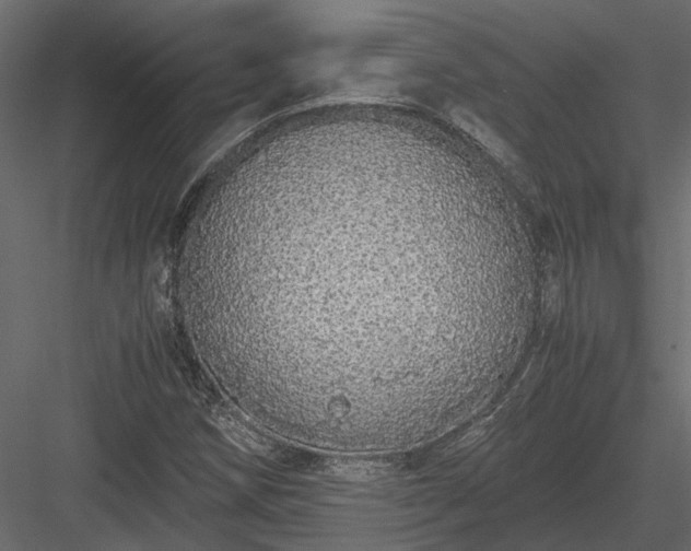 X0000084001258200702232128
