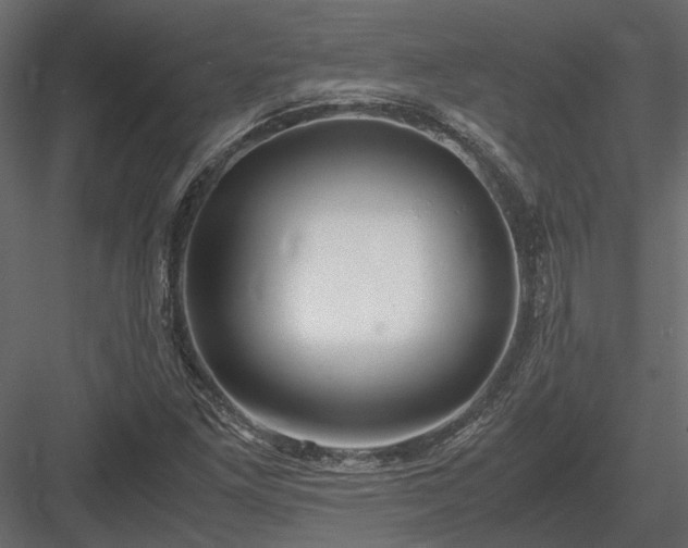 X0000084001261200702232128