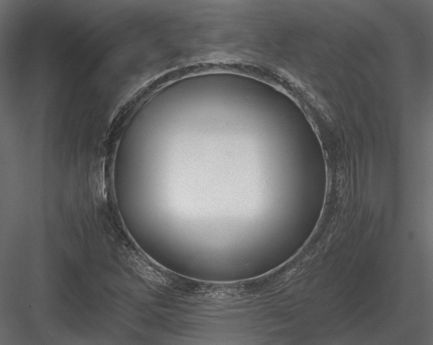 X0000084001262200702232128