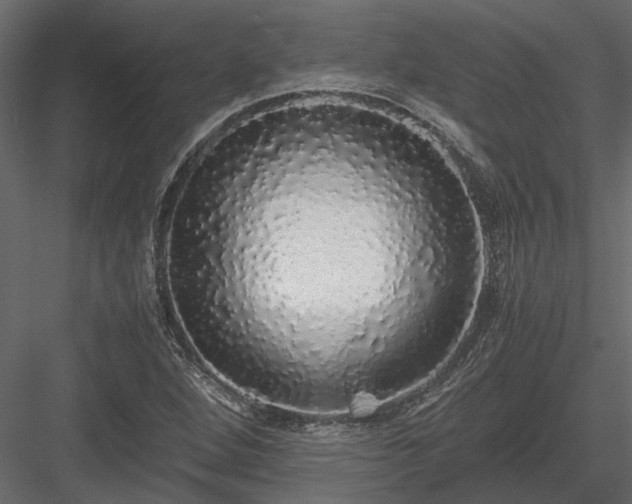 X0000084001264200702232128