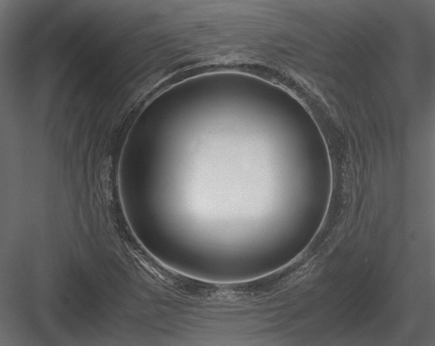 X0000084001265200702232128