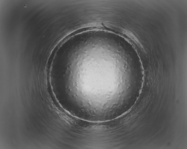 X0000084001268200702232128