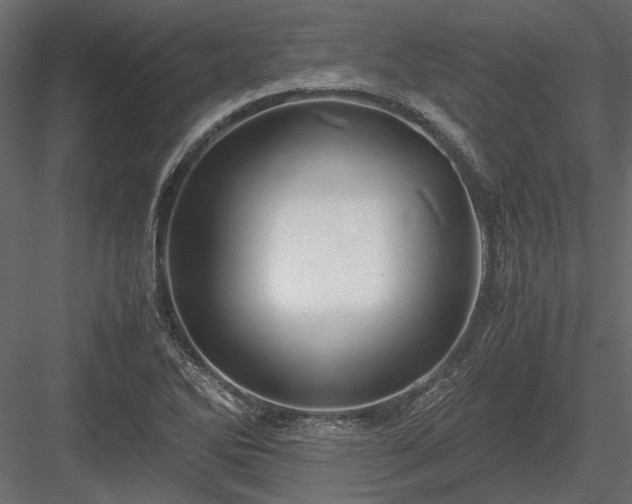 X0000084001270200702232128