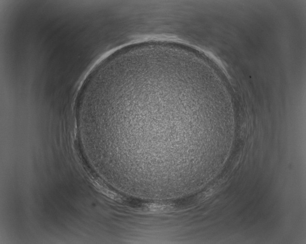 X0000084001271200702232128