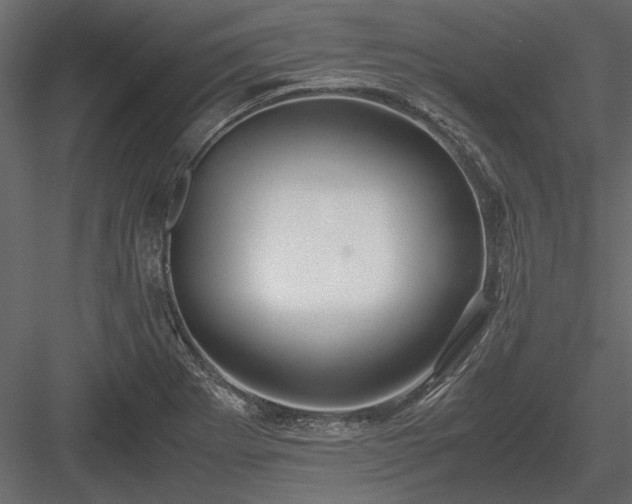 X0000084001273200702232128