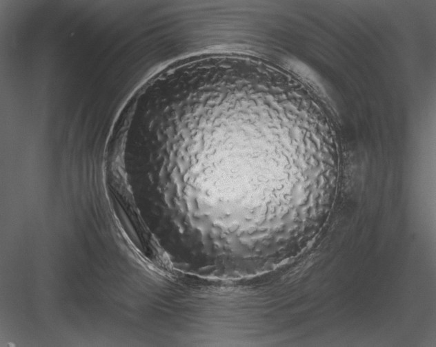 X0000084001284200702232128