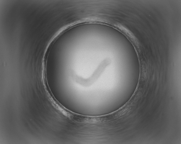 X0000084001286200702232128
