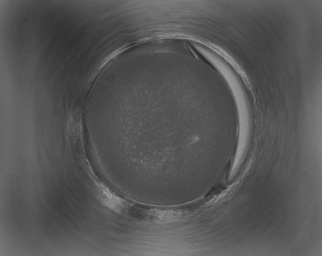 X0000084001289200702232128