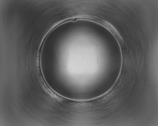 X0000084001292200702232128