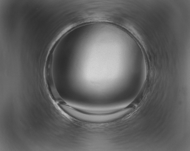 X0000084001293200702232128