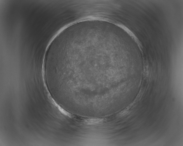 X0000084001294200702232128